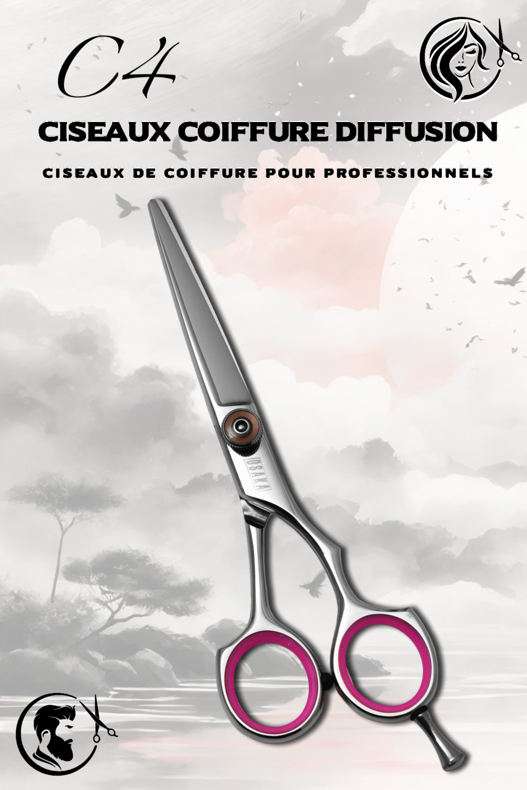 Couverture du modèle C4