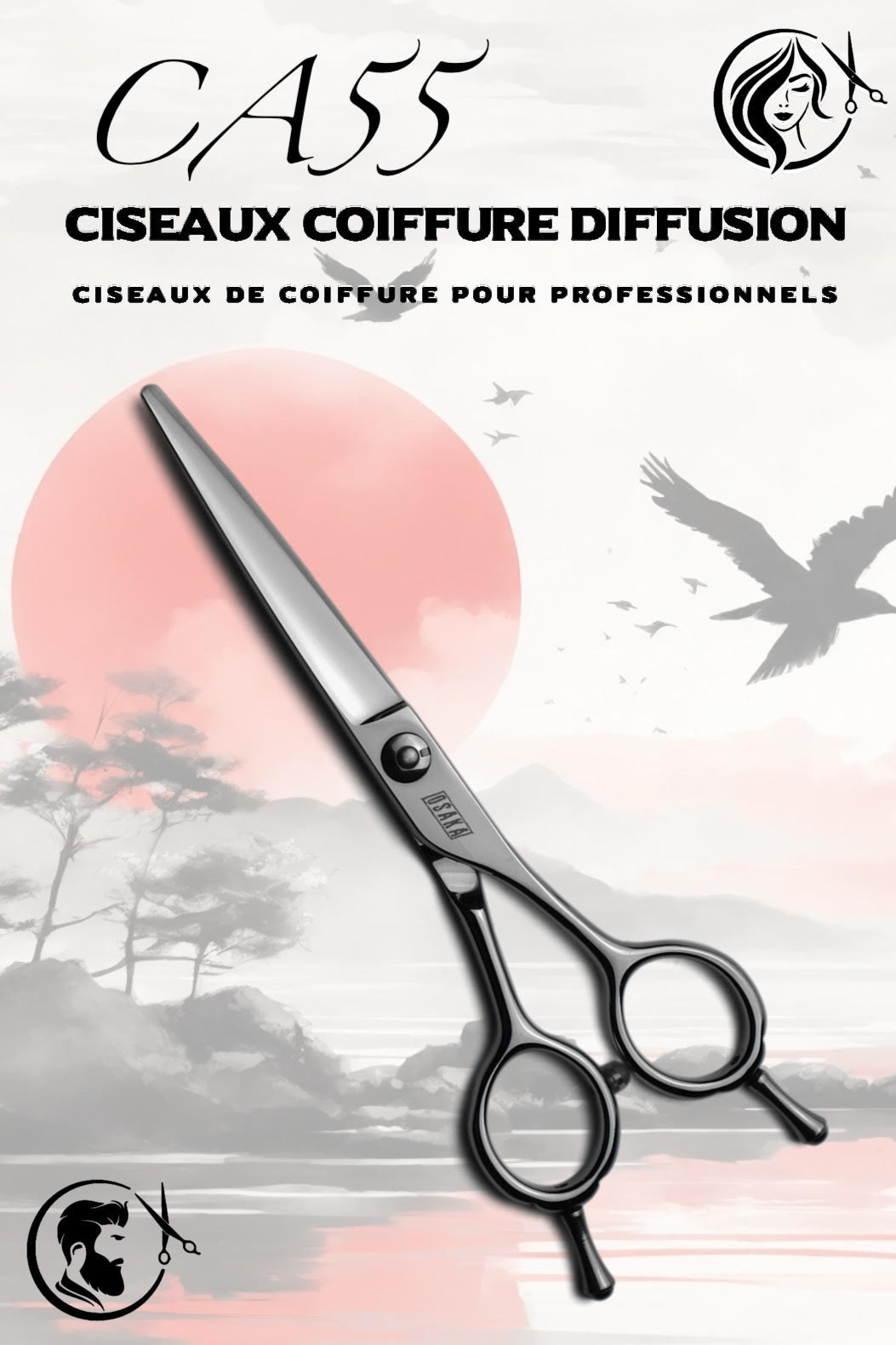Couverture du modèle CA 55