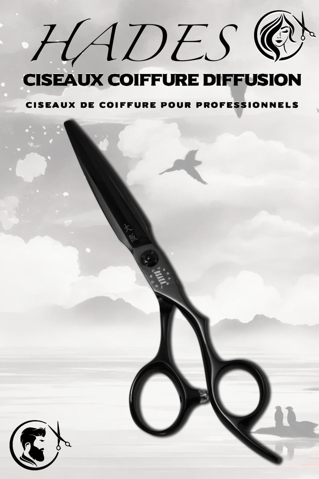 Couverture du modèle HADES